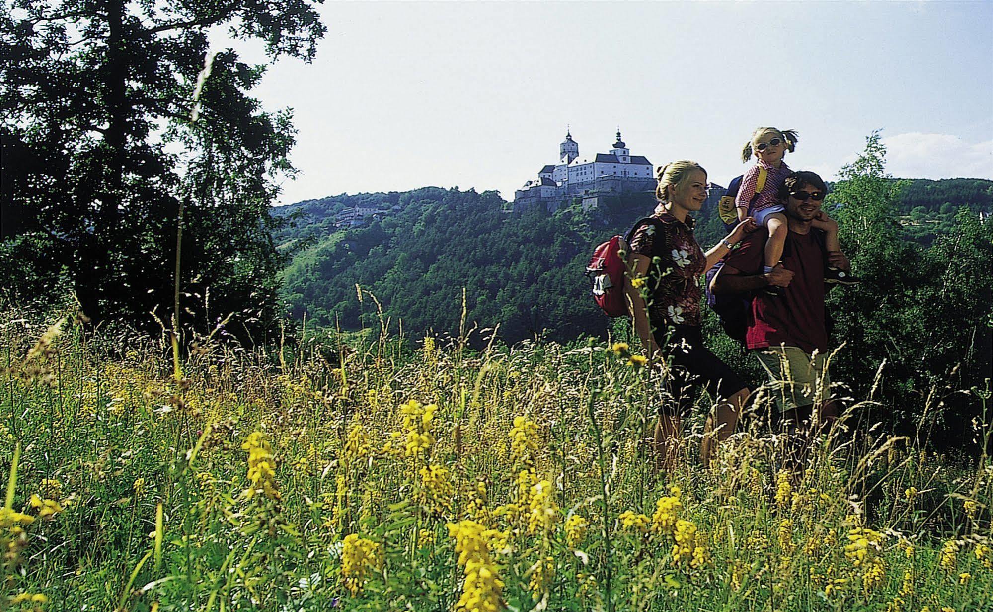 Beerenhof Wiesen Mattersburg Zewnętrze zdjęcie