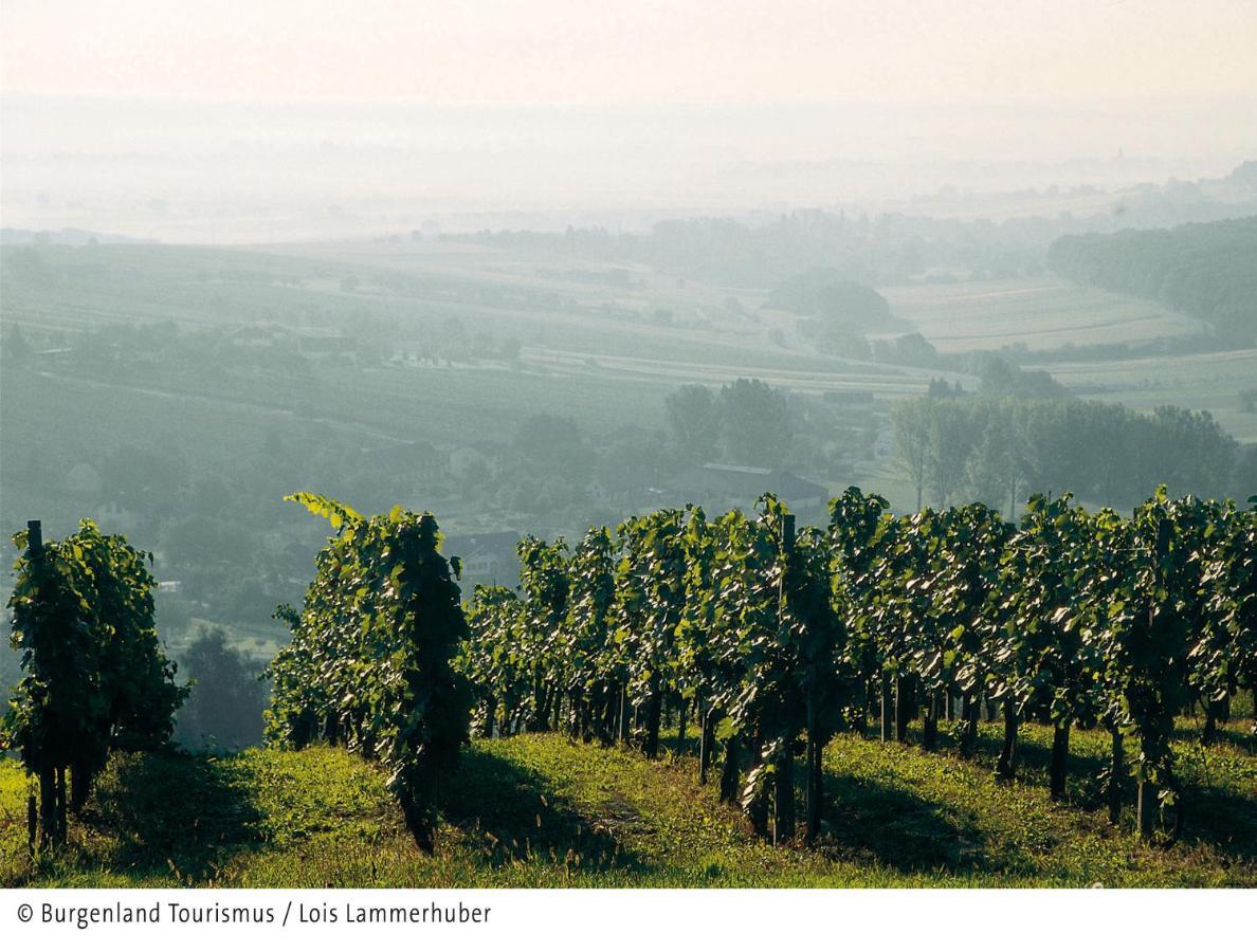 Beerenhof Wiesen Mattersburg Zewnętrze zdjęcie